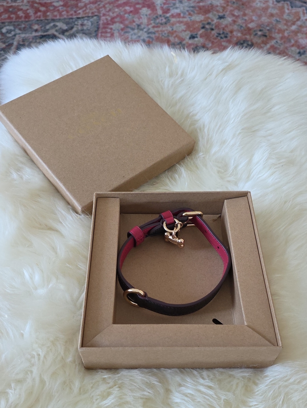 Adorable NWT IOB Coach Brown Signature Small Dog Collar 🤎🍖🖤🐕♥️🐾🎁